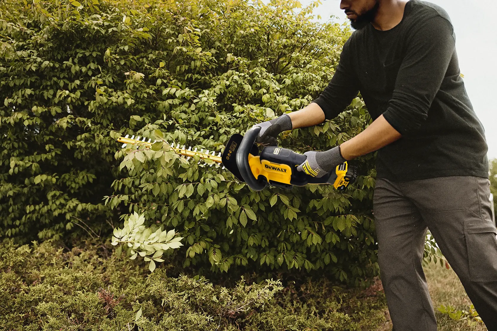 18V XR Heggenschaar 55cm (zonder accu en lader)
