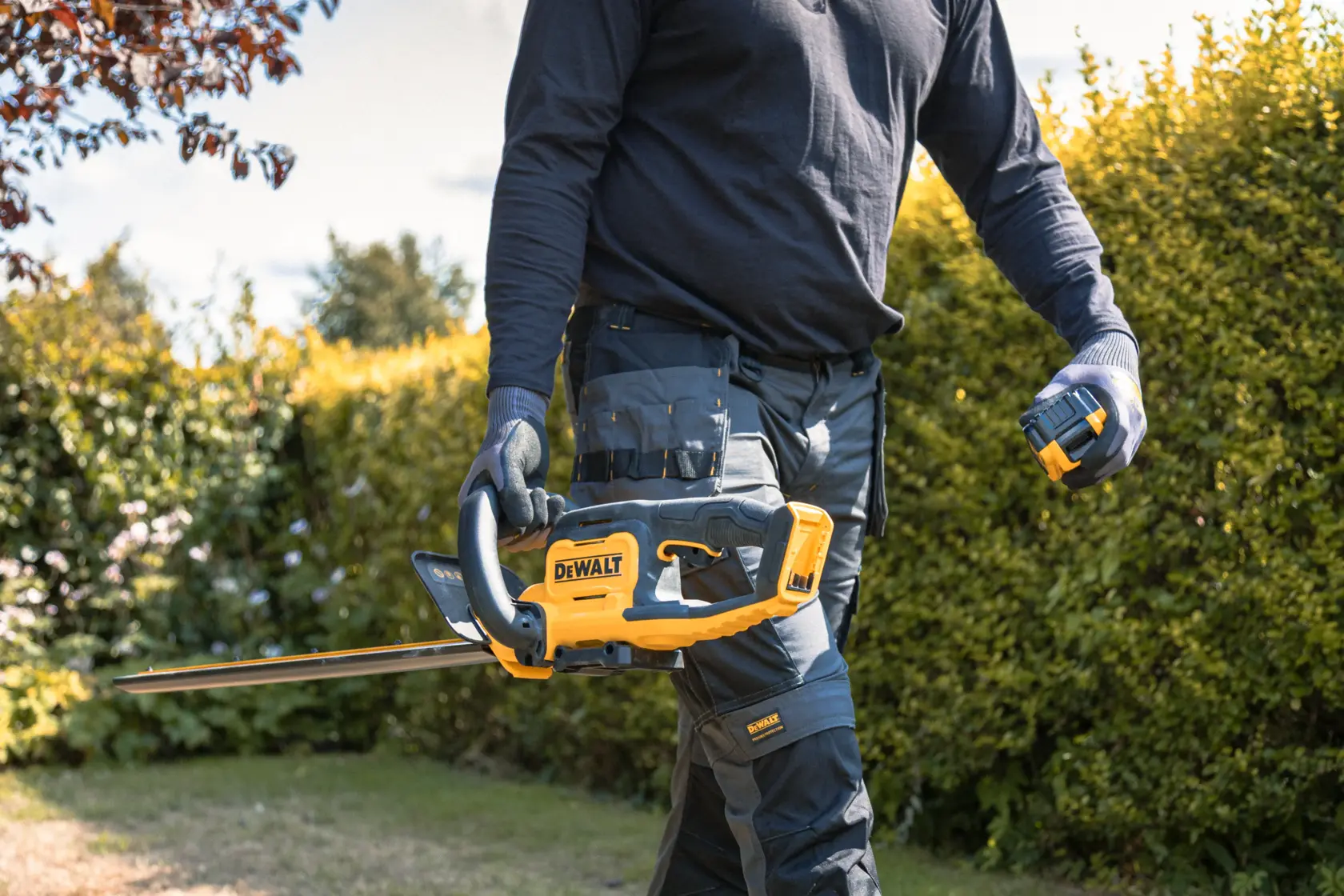 18V XR Heggenschaar 55cm (met 5.0Ah accu en lader)