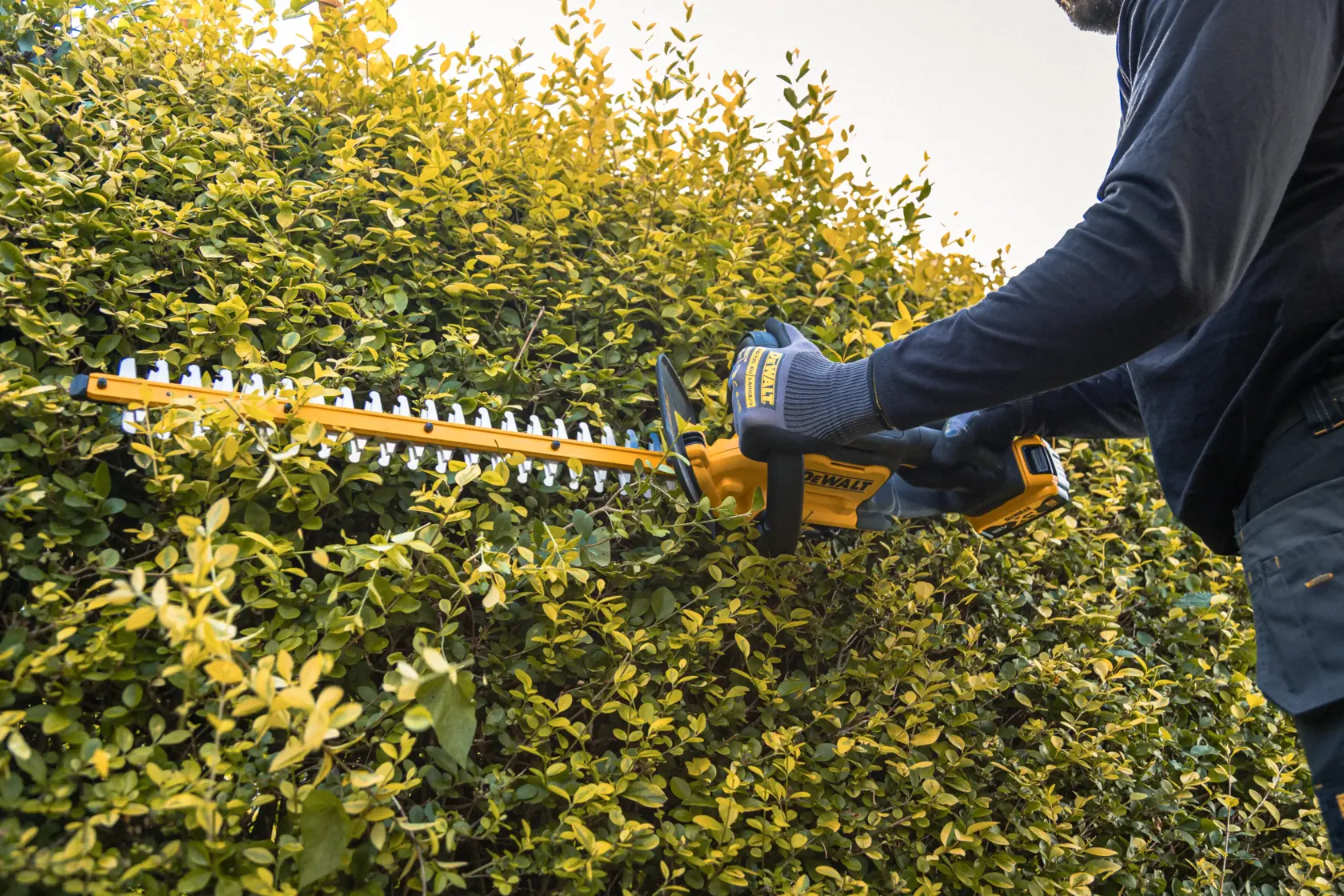 18V XR Heggenschaar 55cm (met 5.0Ah accu en lader)