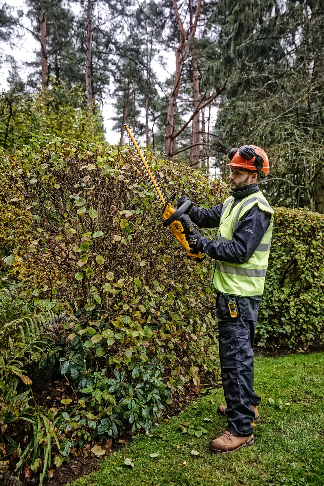 18V XR Heggenschaar